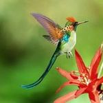 Laurie Huber - @huber.laurie - Instagram