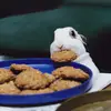 laurihuberthoese - @laurihuberthoese - TikTok
