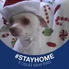 laurihuff - @lauri.huff - TikTok
