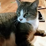 Laurie Hunt - @laurie.hunt5900 - Instagram