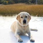 Laurie Mullen - @laurie.mullen.50 - Instagram