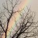 Lauri L. Newman - Facebook