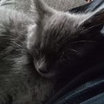 Laurie Preston - @laurie.preston.169 - Instagram