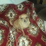 Laurie Ramsey - @laurie.ramsey.7393 - Instagram