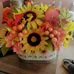 Laurie Shaffer - Facebook