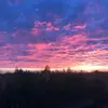 Lauri - @lauri.stevens - TikTok