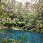 Laurie Stevens - @laurie.stevens.549 - Instagram