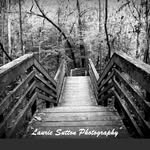 Laurie Sutton Photography - @laurie_sutton_photography - Instagram
