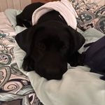 Lauri Thompson - @perfectlyimperfect83 - Instagram