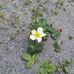 Laurie Walton - Facebook