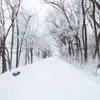 walton.lauri - @walton.lauri - TikTok