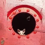 Laurie Yorke - @laurie.yorke - Instagram