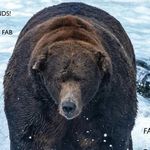 Laurie Aaron - @shadow1pt0 - Instagram