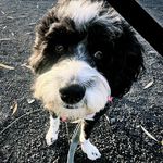 Laurie J Aaron - @lauriejoan - Instagram