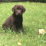 Laurie A. Barrows - @lauriea.barrows - Instagram