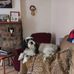 Laura Bateman - Facebook