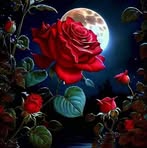 Laurie Baxter - Facebook