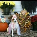 Laurie Baxter Brissey - @baxterbrissey - Instagram