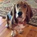 Laurie Adams Beam - Facebook