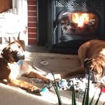 Laurie Beasley - @lauriebeasley37 - Instagram