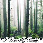 Laurie Beaver Peters - @lauriebeaverpeters - Instagram