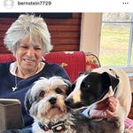 Laura Bernstein - @bernstein.laura - Instagram