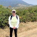 Laurie Bernstein - @lauriebee52 - Instagram