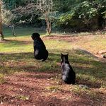 Laurie Blankenship - @laurie.blankenship.3 - Instagram