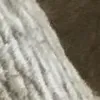 Laura Chaney100 - @laurachaney3 - TikTok