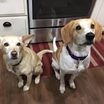 Laura Chaney - @laura.chaney.821 - Instagram