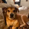 lauriechase8 - @laurie.chase25 - TikTok