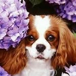 Clements Laurie - @clements.laurie - Instagram