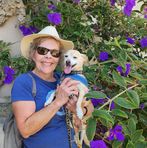 Laurie Clements - Facebook