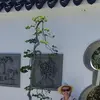 Laurie Clements - @laurie.clements - TikTok