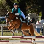 Lauren Cocks| Equestrian| 🇦🇺 - @lauren.c_equestrian - Instagram