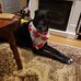 Laurie Cooper - Facebook