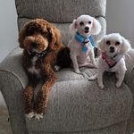 Laurie Goodlove Coe - @laurie_coe - Instagram
