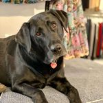 Laurie Miller O'Connell - @laurie_oconnell - Instagram