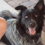 Laura Conner - @laurieconner63 - Instagram