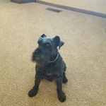 Laurie Cramer - @cramer_laurie - Instagram