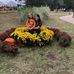 Laura Dingman - Facebook