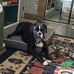 Laurie Doeing - Facebook