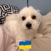 Laurie Doss - Facebook