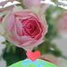 Laura Duda - Facebook