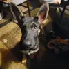 Laura Dulaney - @laura.dulaney - TikTok