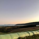 Laura Eaves - @lauraeaves14 - Instagram