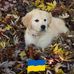 Laurie Egan - Facebook