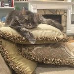 Laurie Stone Eldridge - @laurie.s.eldridge - Instagram