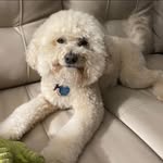 Laurie Noto-Estep - @angelmommyva - Instagram