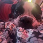 Laura Farris - @delightful.lo.down - Instagram